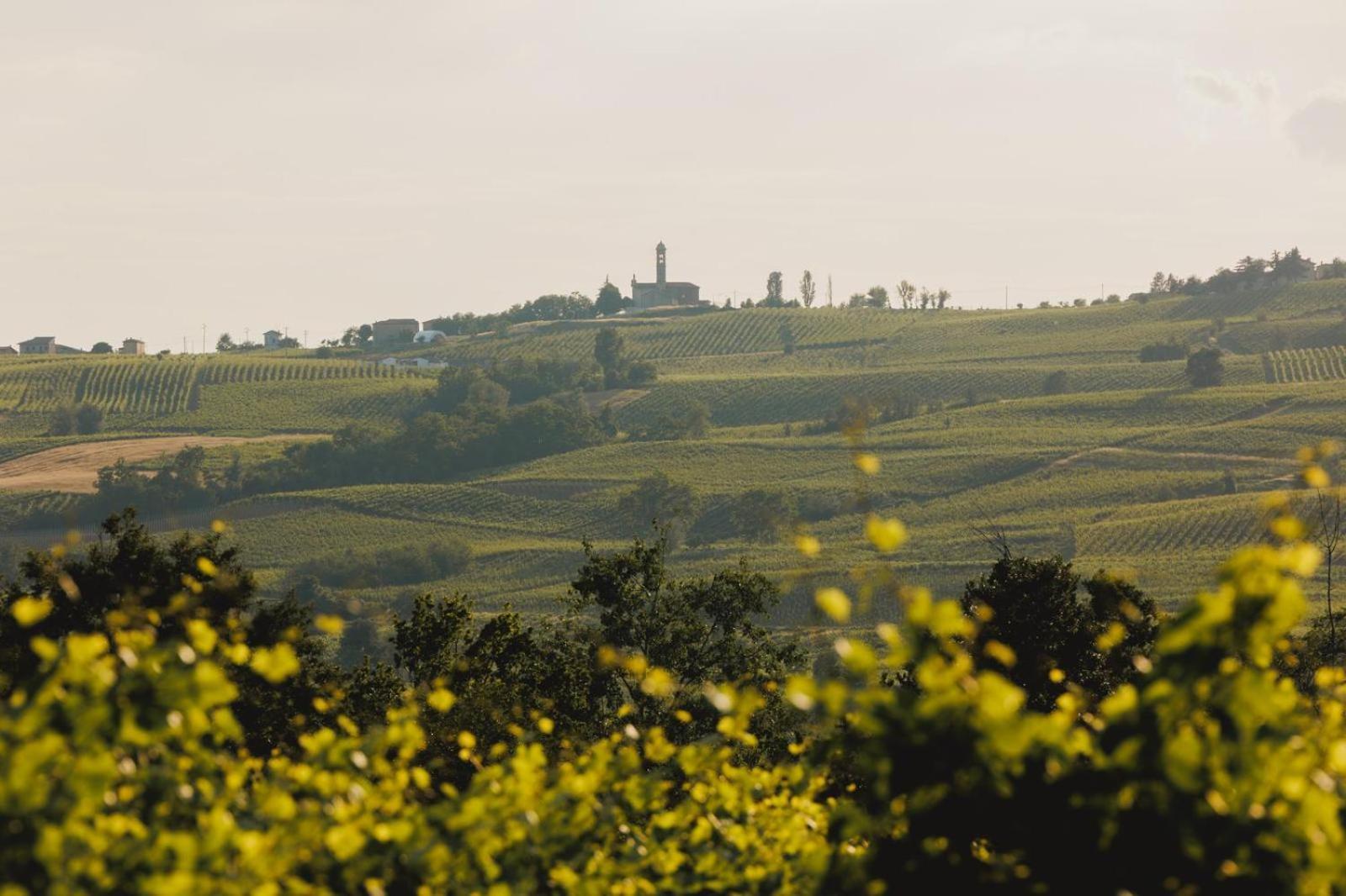 Agriturismo Bosco Longhino Santa Maria della Versa 외부 사진